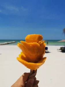 Mangoblume von einem Strandverkäufer